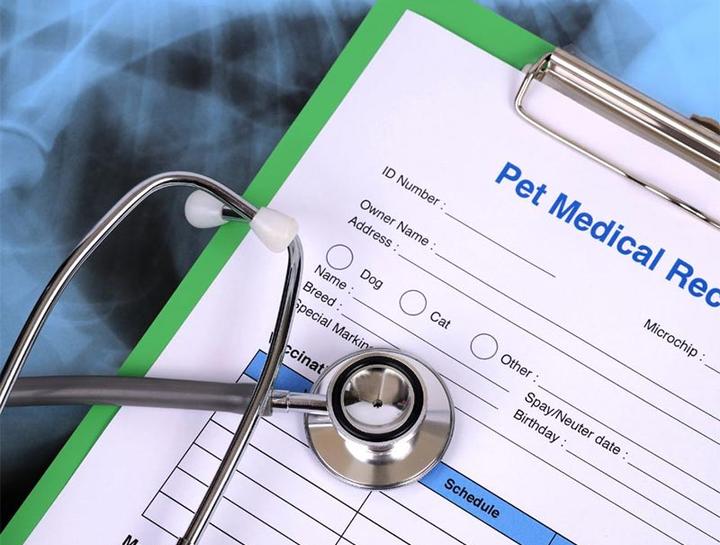 Pet Portal Mother Lode Veterinary Hospital